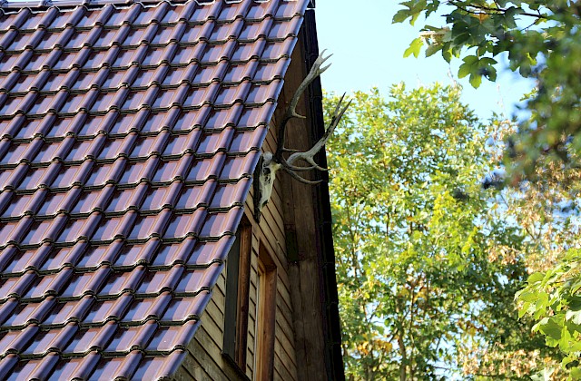 Forsthaus Hubertus