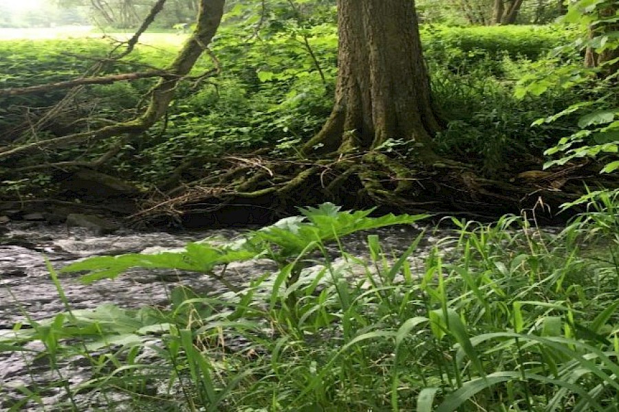 Der Natur ein St&uuml;ck n&auml;her
