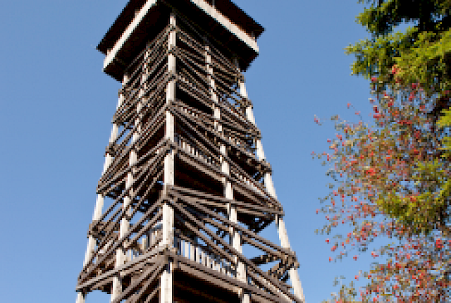 Kellerwaldturm auf dem W&uuml;stegarten