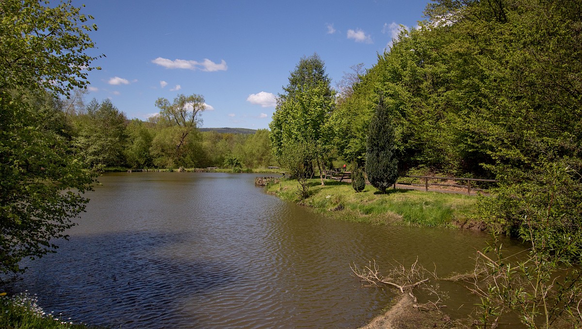 Angelteich in Hundshausen