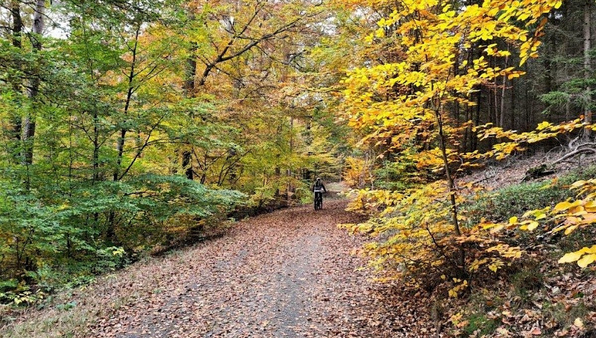 Naturpark Kellerwald