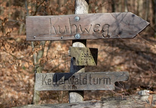 Wanderblick bei Jesberg